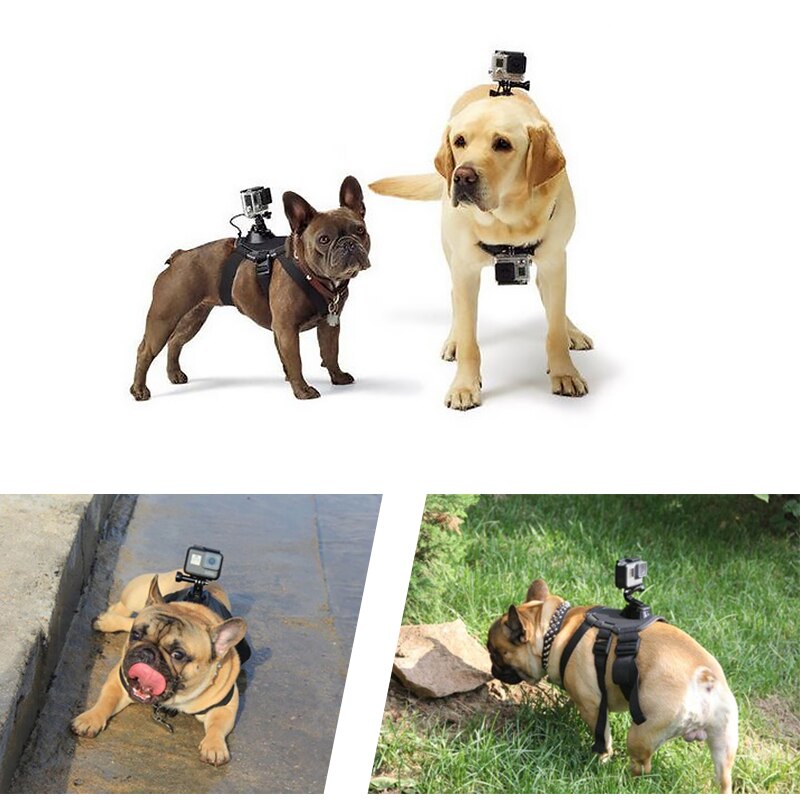 Bande de chien réglable pour Gopro hero 9 8 7 6 5 4 harnais de chien ceinture de poitrine sangle de sport support de montage de caméra pour SJCAM Xiaoyi