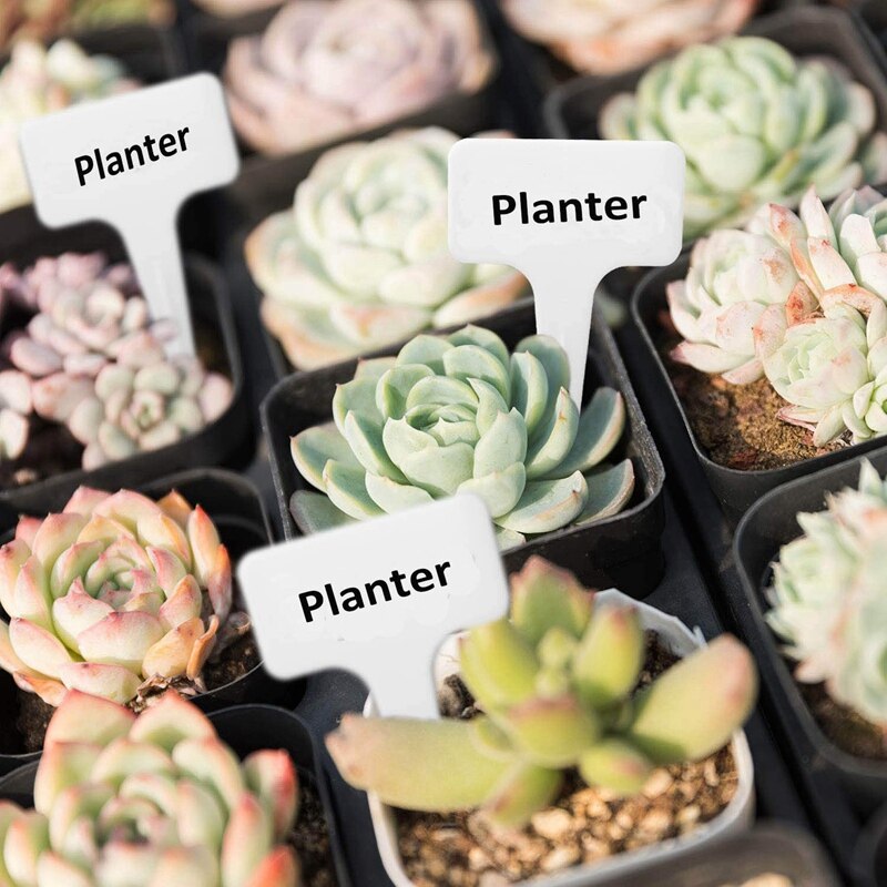 100x Herbruikbare Plantenlabels – Waterdicht & Zonbestendig – Witte Stevige Zaadlabels Voor Kwekerij, Tuin & Potten (15 X 2.5 Cm)