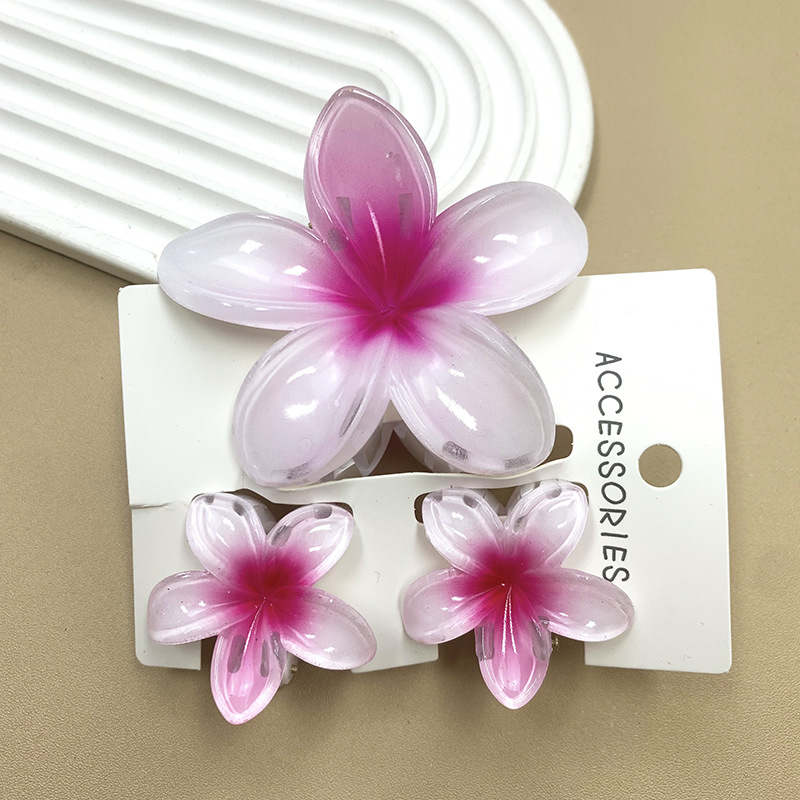3 pièces/ensemble fleur douce dégradé coloré griffes de cheveux queue de cheval Cip pince Barrettes épingles à cheveux pour femmes fille plage cheveux accessoires