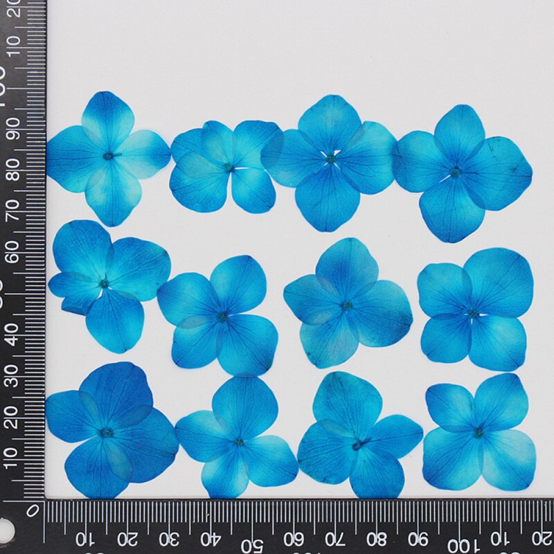 60 stuks/pak hortensia epoxy gedroogde bloemen reliëf plant specimen handgemaakte doe-het-zelf aromatherapie materiaal accessoires: 2