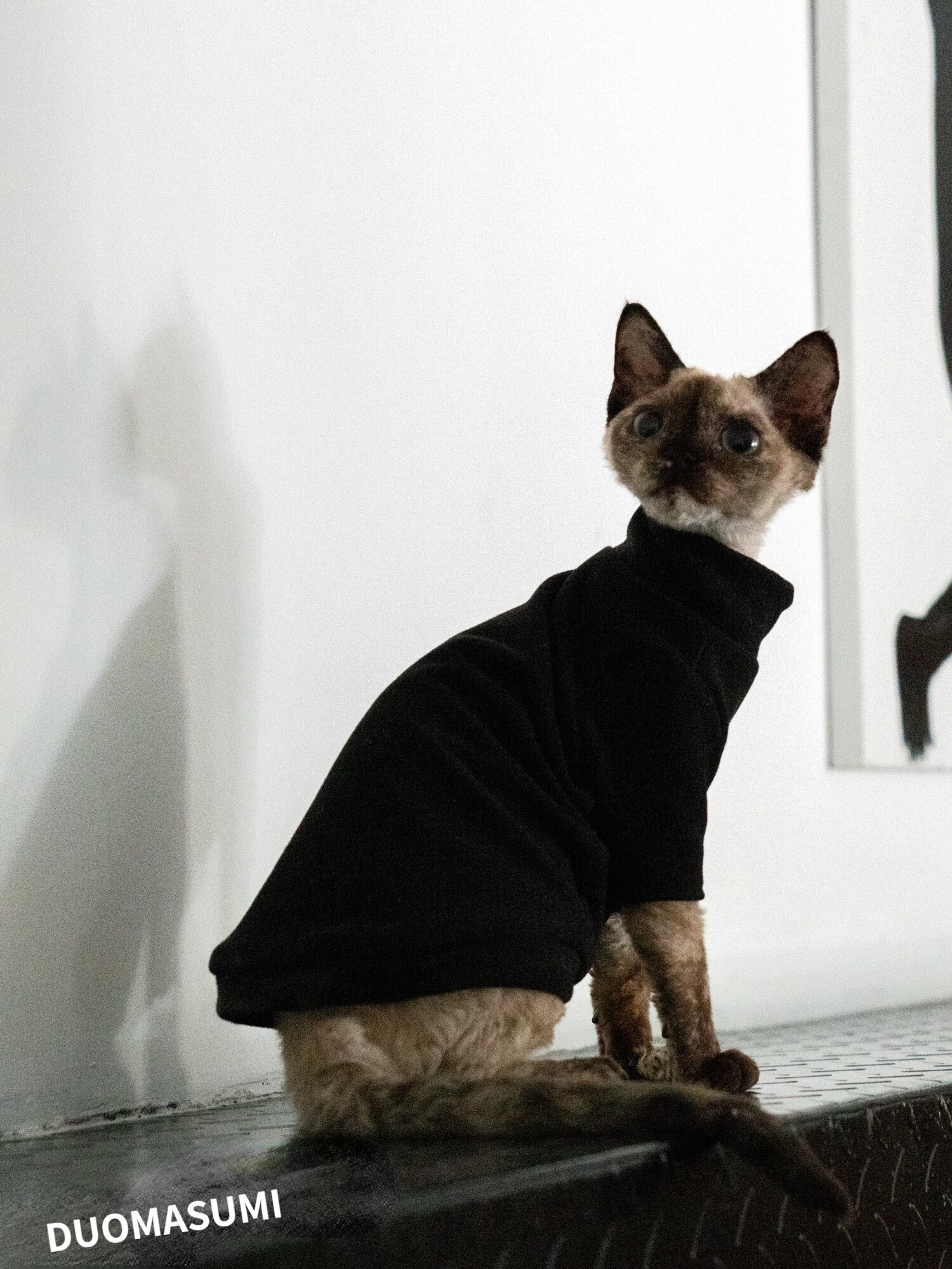 STOCK CLEAN Hairless Cat Clothes Warm Winter Thick Cat Clothes Cationic Self-heating,Sphynx,Devon Cat Clothes