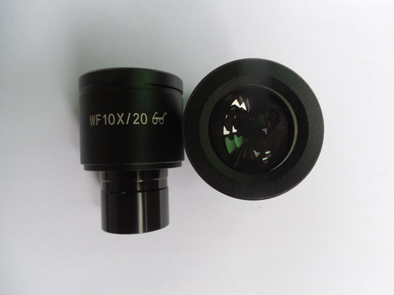 10x Biological Microscope WF10X High Eyepoint Wide... – Grandado