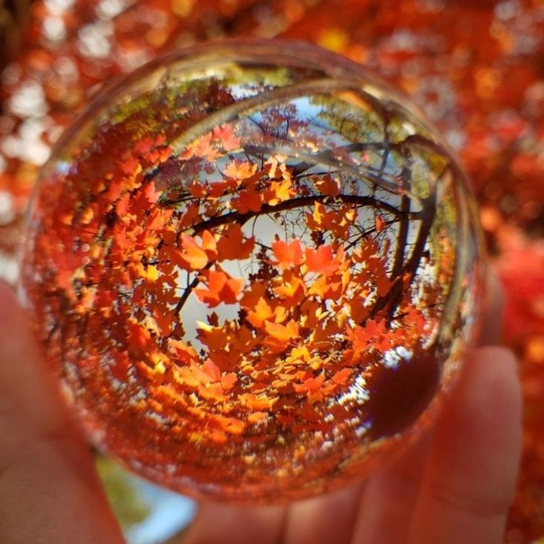 Fotografía bola de cristal 80mm esfera fotografía foto sesión accesorios lente transparente redonda esfera artificial decoración