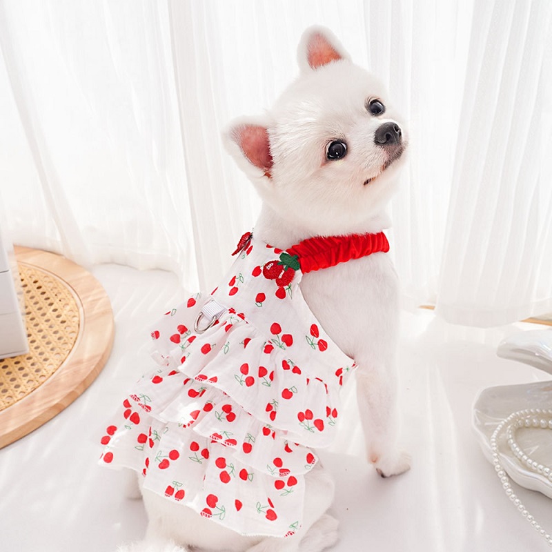 Hond Prinses Jurk Hond Kleding Voor Kleine Honden Puppy Zomerkleding Kant Roze Rose Hond Trouwjurk Chihuahua Pug Hond Rok: XL / Zilver