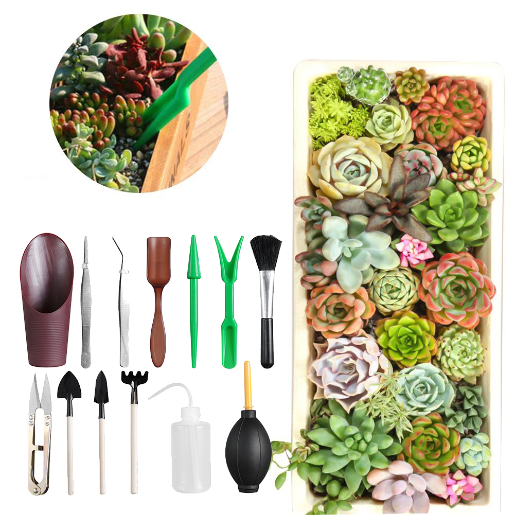 15pcs Succulent Plants Tools Set Gardening Shovel Mini Hand Transplanting Tool Potted Plants Shovel Rake Spade Bonsai Tools