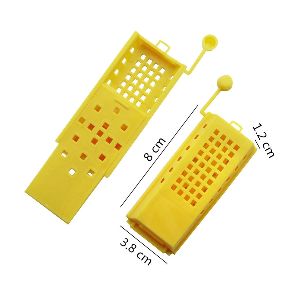 Plastic Bijenteelt Kooien Bijenteelt Gereedschappen Gevangenschap Bee Queen voor Bijenteelt Imker Gereedschap 50 Stuks