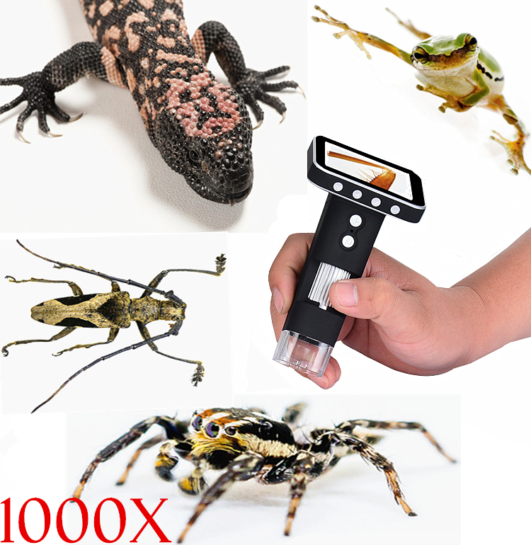 1000x USB Digital Microscope HD LCD Display Wireless Skin Scalp Detector Digital Microscope