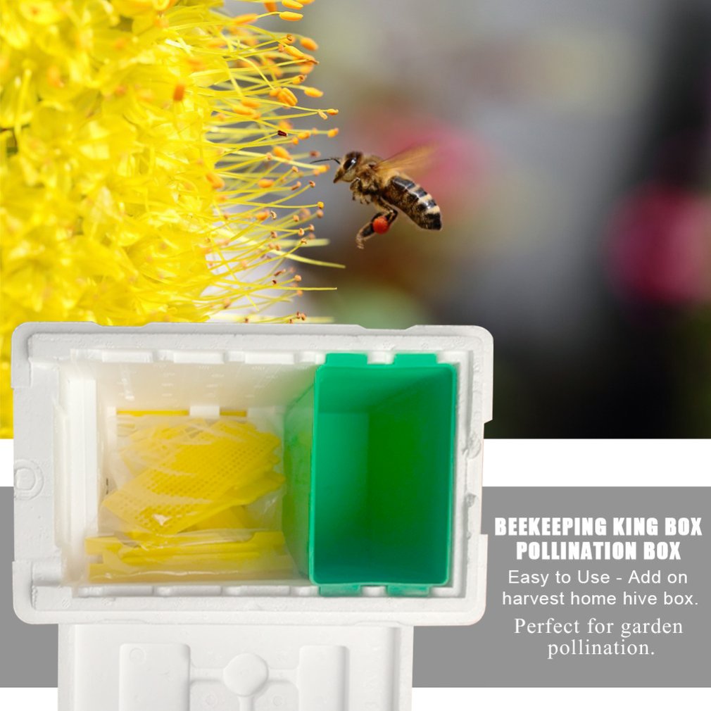 Bee Mating Box Beekeeping Tools Foam Beehive Bee Mating Box Bee Queen Reserve Box Pollination Case Set Breeding Equipment