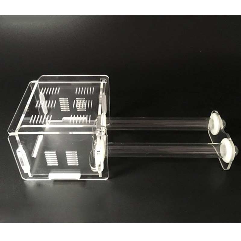 Acrylic Test Tube Nest Live Ant Activity Area Ant Farm Reptile Terrarium