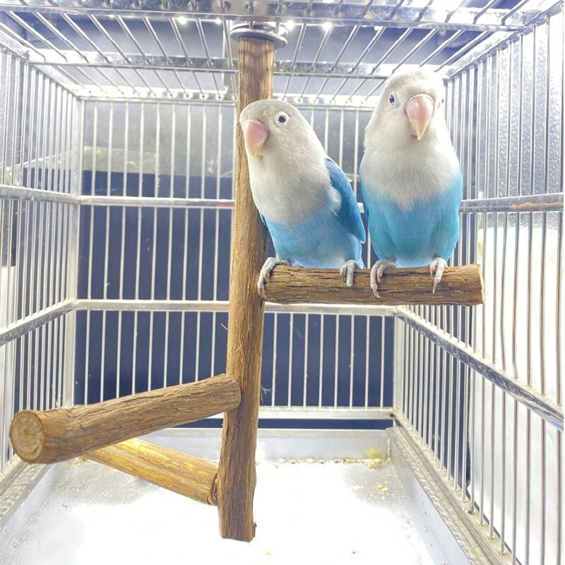 Natural Wood Bird Perches Stands Bird Cage Paw Grinding Toy Parrot Perch Toys for Cockatiels Conures Budgies Love Birds Parakeet