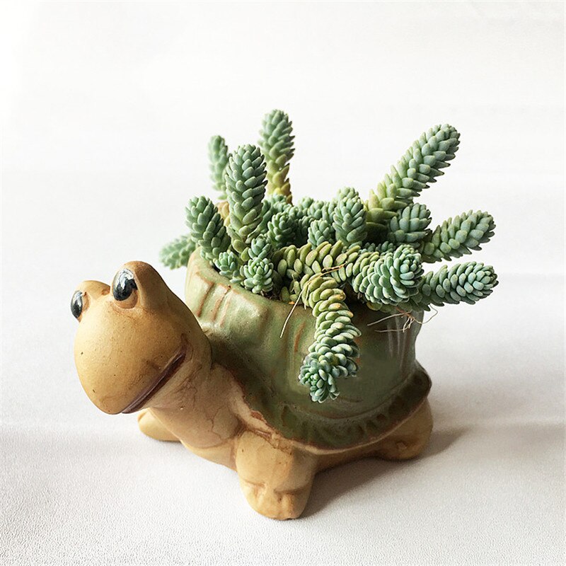 Mini maceta de cerámica con forma de Animal para plantas suculentas, maceta con forma de caracola, Tortuga, erizo, Caracol, para decoración de jardín y hogar