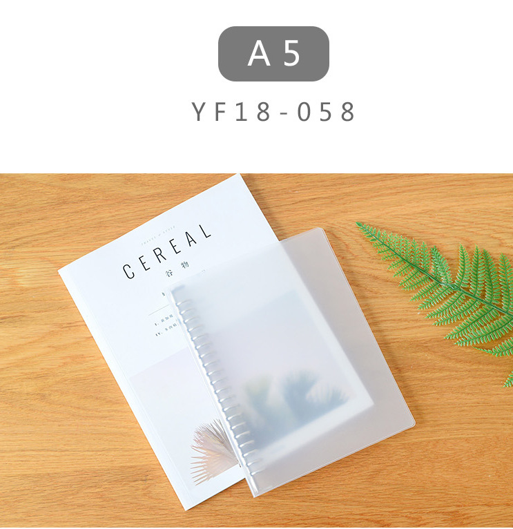 Catena A4 B5 A5 segregator teczka przezroczysty PP teczka na dokumenty robić przyborów szkolnych i akcesoriów biurowych Organizer robić papieru: YF18-058