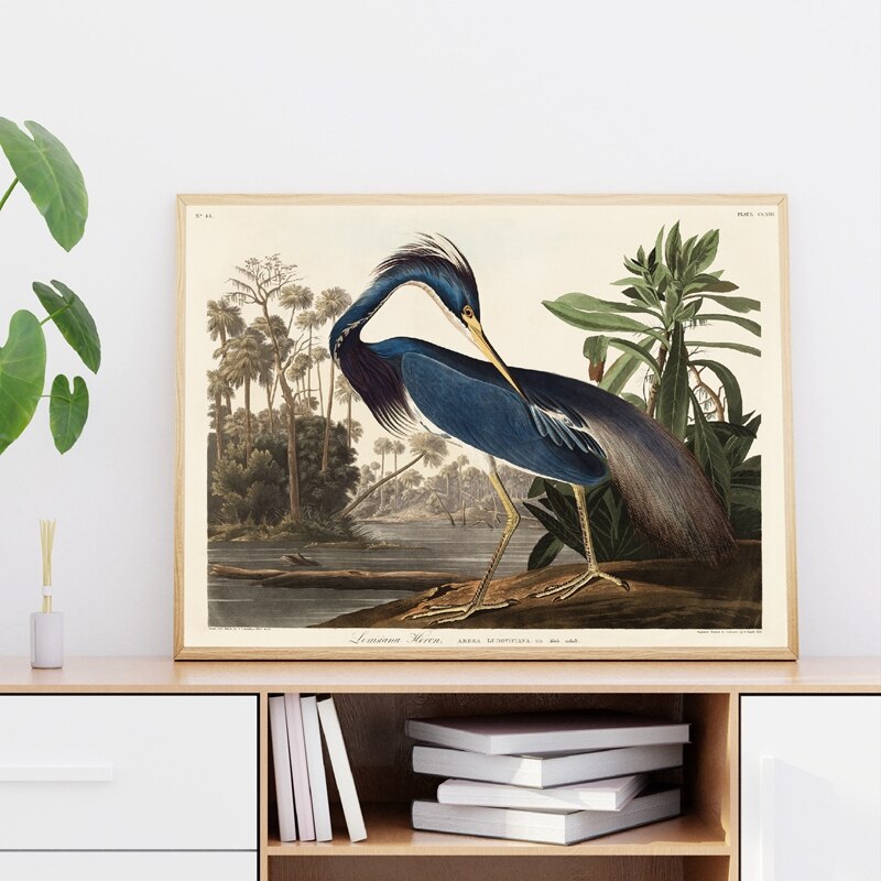 Louisiana Reiger Van Vogels Van Amerika Schilderen Amerikaanse Dier Vogel Natuur Poster Muur Foto Keuken Home Decor