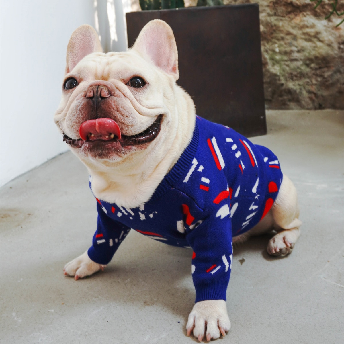 Camisola do cão macio clássico animal de estimação roupa casual traje moda cardigan camisola casaco de malha para schnauzer bulldog roupas de cachorro