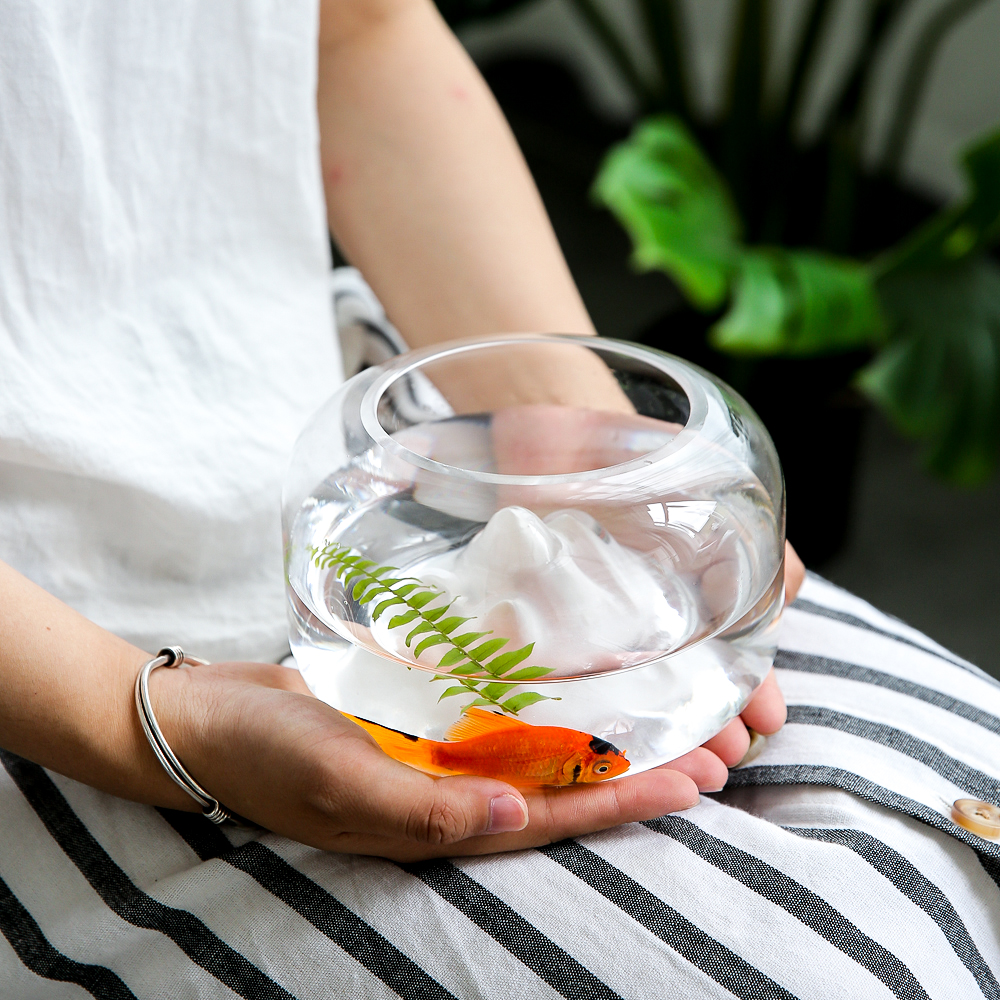 Japanischen stil transparent Glas Schnee Berg Fisch Panzer Schreibtisch Hydrokultur Vase Mikro Landschaft Dekorative Blume