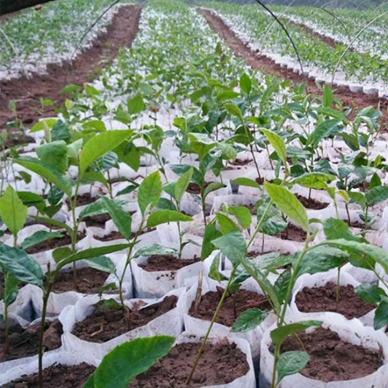 Bolsas no tejidas para germinación de plantas, bolsas biodegradables ecológicas para cultivo de plantas, Vivero, 500 unidades
