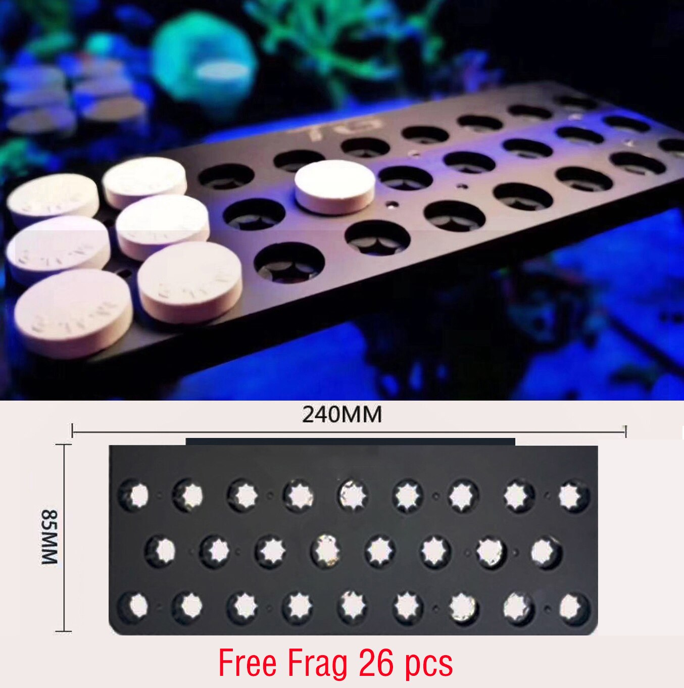 DW Aquarium WWC Style Special Acrylic Magnetic Coral Frag Plugs Rack Holder Fish Tank Collapsible Angle Adjusting Bracket Rack
