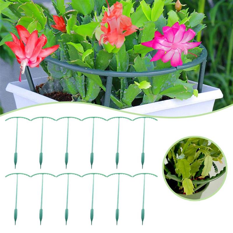 Green Half Round Plant Cage Holder Plants Support Stand Plant Climbing Frame for Morning Glory Crab Cactus: 12pcs