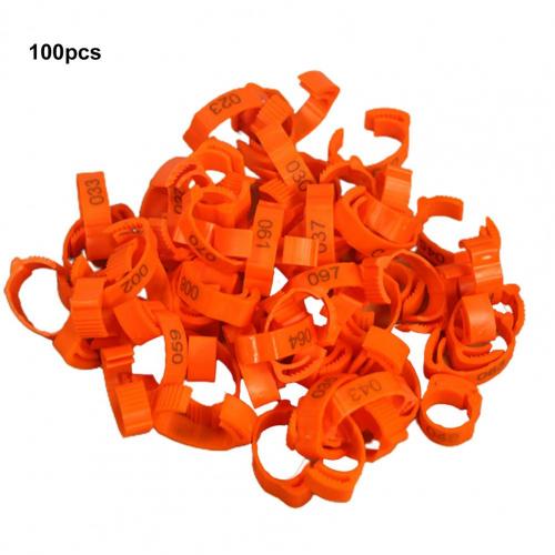 Wear-resistant 100Pcs Unbreakable Duck Chicken Foot Ring Smooth Surface Duck Leg Bands Flexible for Animal: Orange