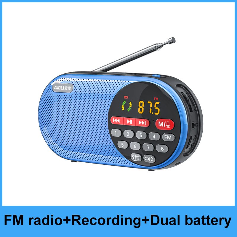 4000mAH Rechargeable FM Radio Portable Speaker Music Player with LED Display Support TF Card U Disk 3.5mm Headphone Jack: Blue Record