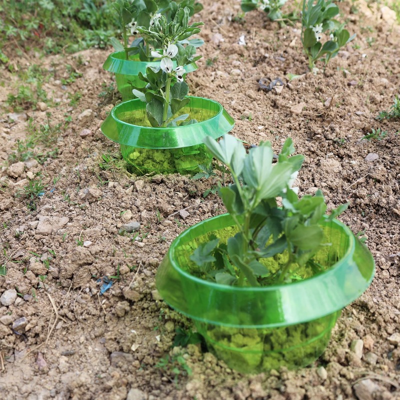 Cloches de jardin en forme d'escargot, anneaux de Protection pour plantes, légumes, fleurs, couvercle de Pot de plante réutilisable sans chimie, 1 à 10x