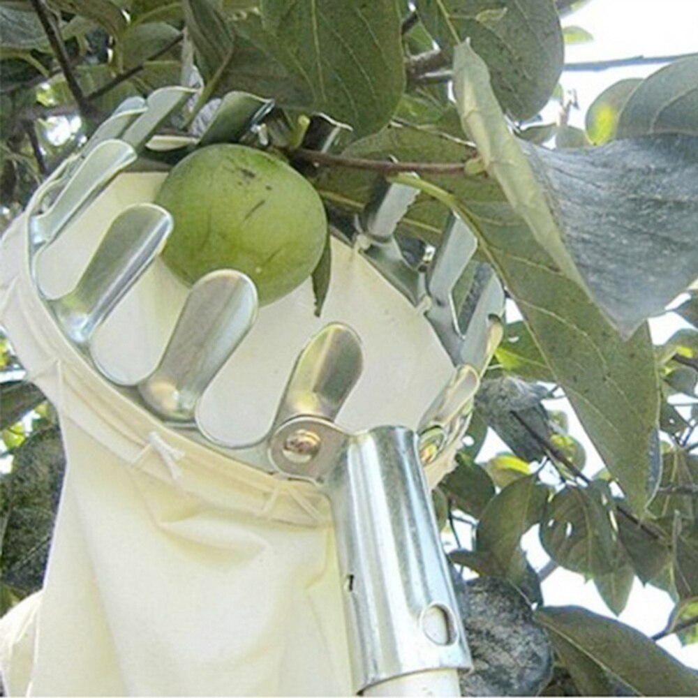 Recolector de frutas, cesta para la cabeza, fruta, utensilios para coger piezas, recogedor de frutas para cosecha, manzana, cítricos, pera, melocotón y otros