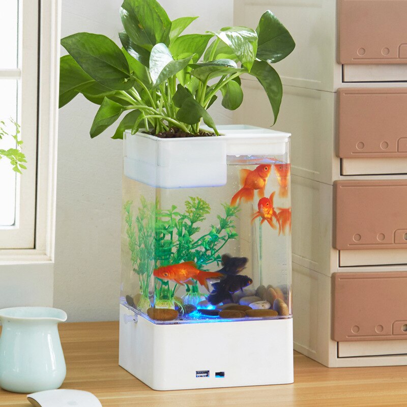 Aquarium van kunststof met planten, accessoires voor op het bureau, decoratie voor het aquarium