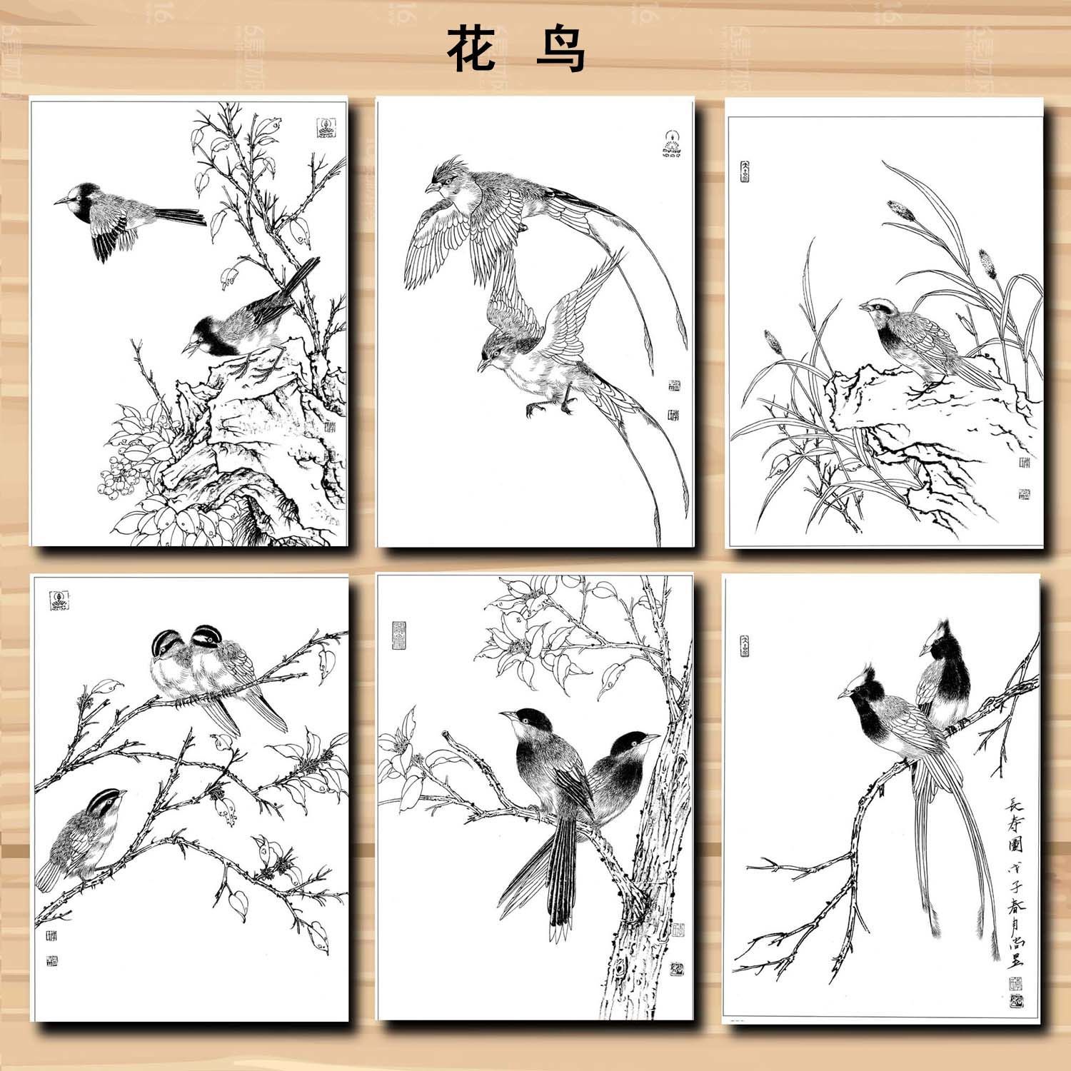 Meticulous Painting Line Drawing Manuscript Traditional Chinese Painting Flowers Birds Characters Animals Line Draft Rice Paper: Light Red