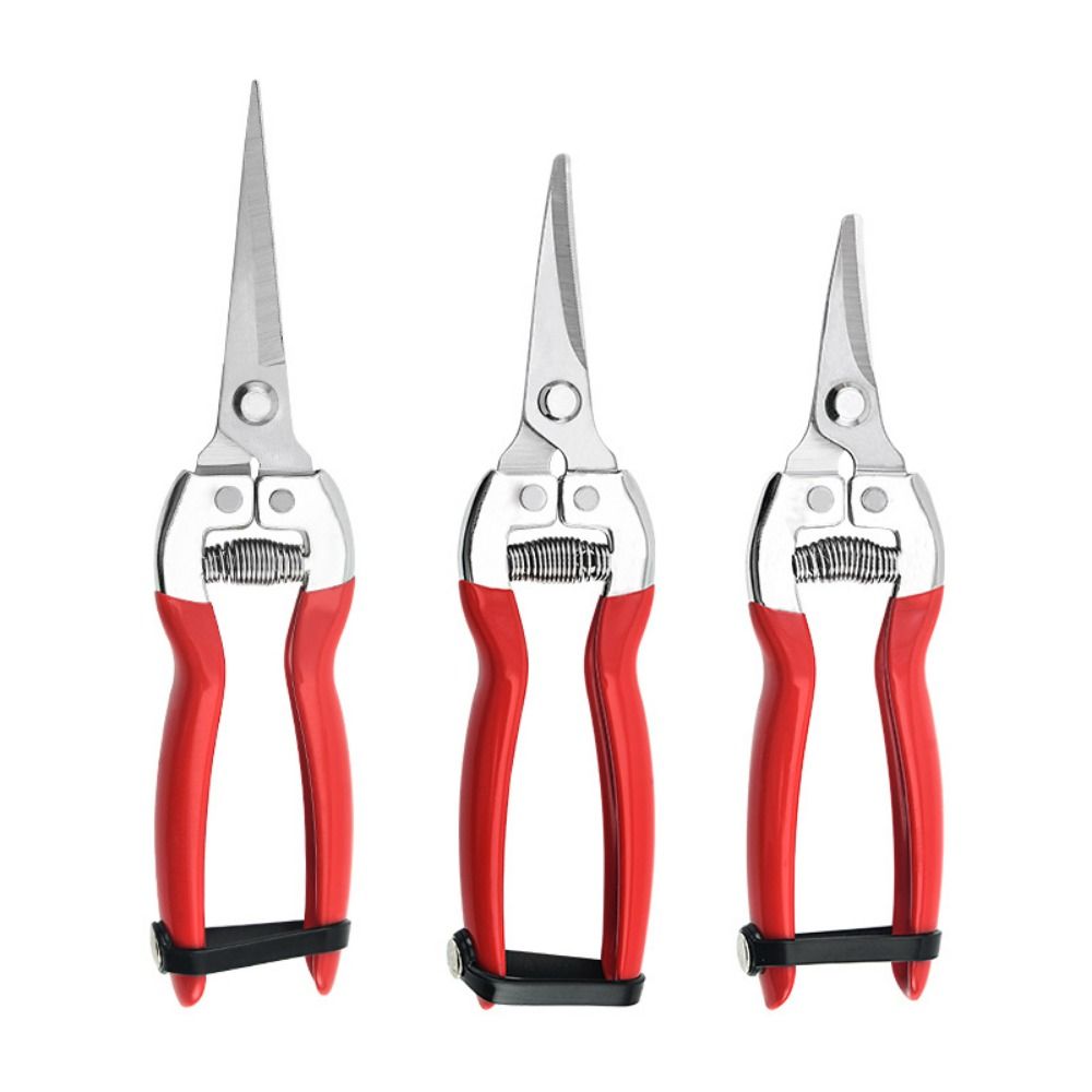 Tijeras para floristería, herramienta para podar árboles, podadora manual de jardinería, tijeras de jardín, recortadora de hojas, tijeras de podar rectas con micropunta, 1 Uds.