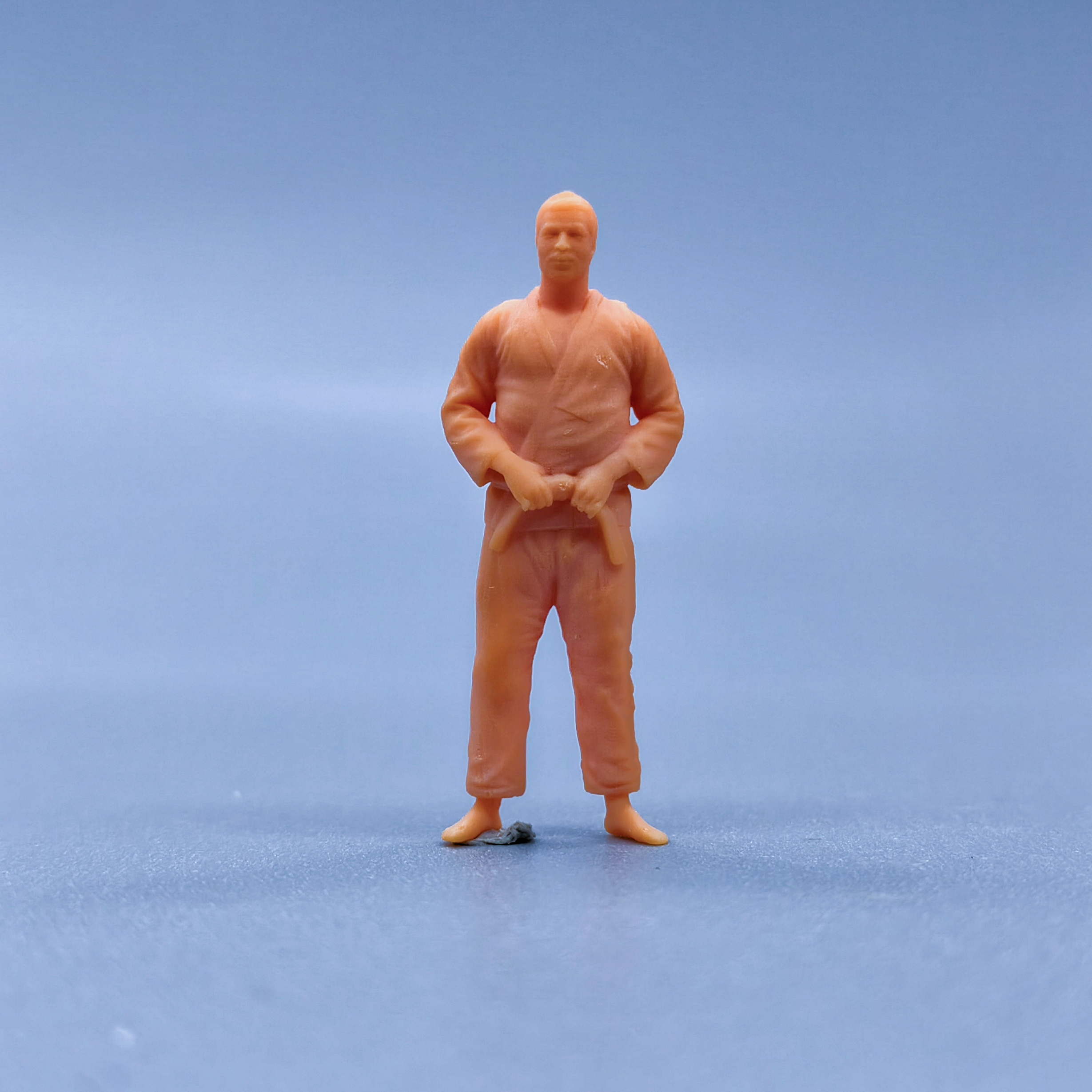 1/64 1/43 figurina modello in scala resina maschio judo giocatore miniatura non colorate Diorama dipinto a mano L123