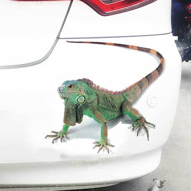 3D Lifelike Animal Bicycle Stickers Spider Scorpion Lizard Shape Stickers Mountain Bike Car Sticker Bicycle Accessories
