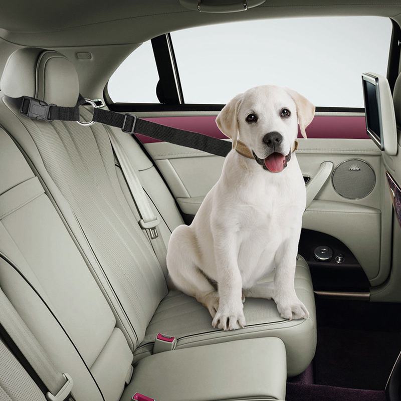 Hond Kat Pet Veiligheid Verstelbare Autogordel Harness Leash Reizen Clip Strap Lood