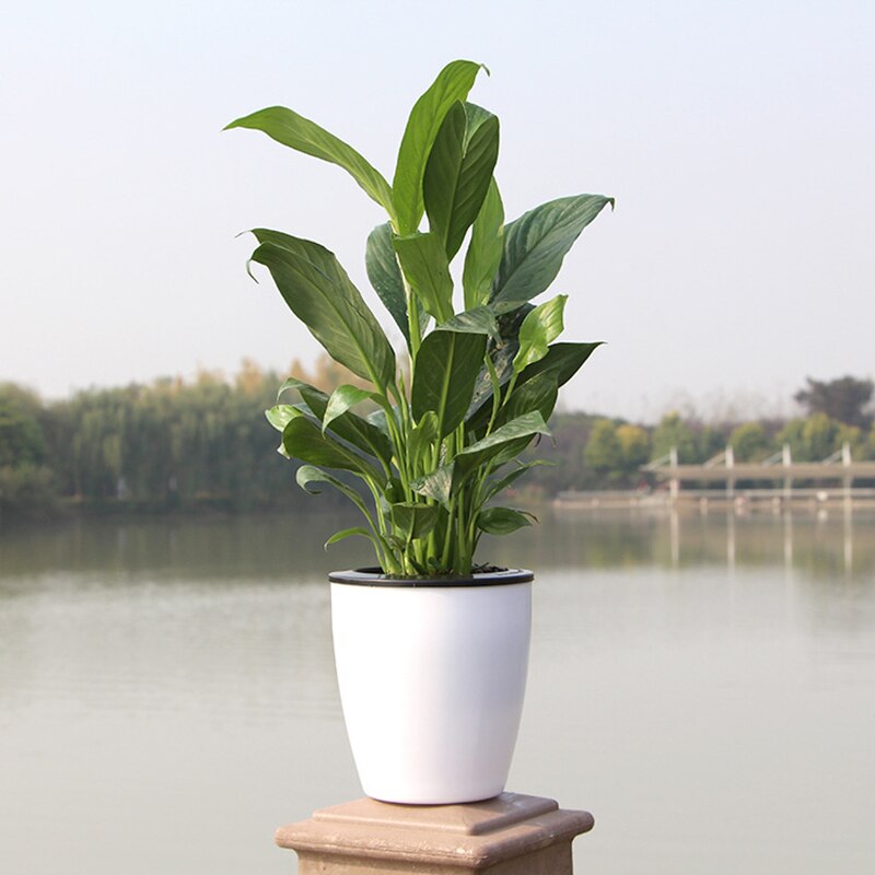 Resin Flower Pots Automatic Self Watering for Office Garden Supply Plants Basket Home Decorative Planter TB