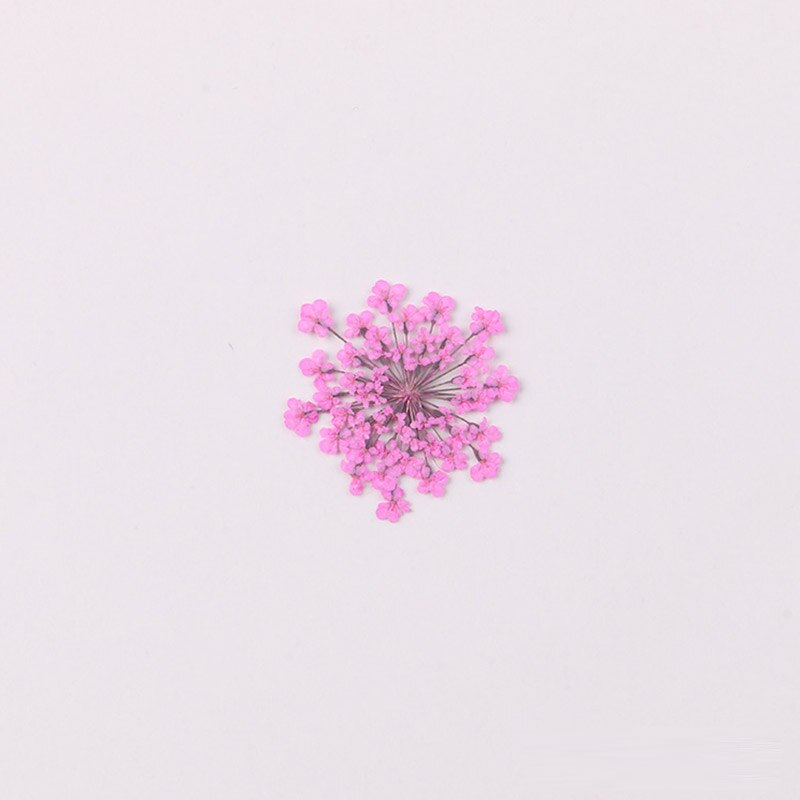 100 stk / pose vintergæk blomst naturlig tørret blomst presset blomst manicure tørret blomst dryp lim mobiltelefon cover gør det selv materiale: 7