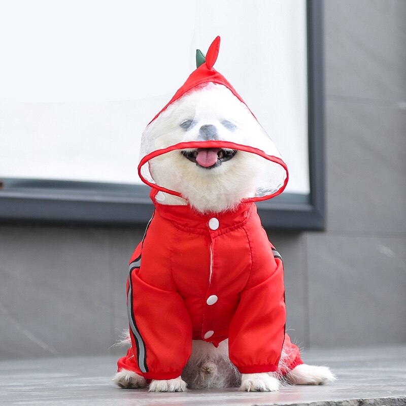 Sommer Hund Gesamt Regen Jacke Hund Kleidung Korgi Regenmantel Dackel Hund Kleidung Chihuahua Kleidung für EIN Hund Ebene Kleidung