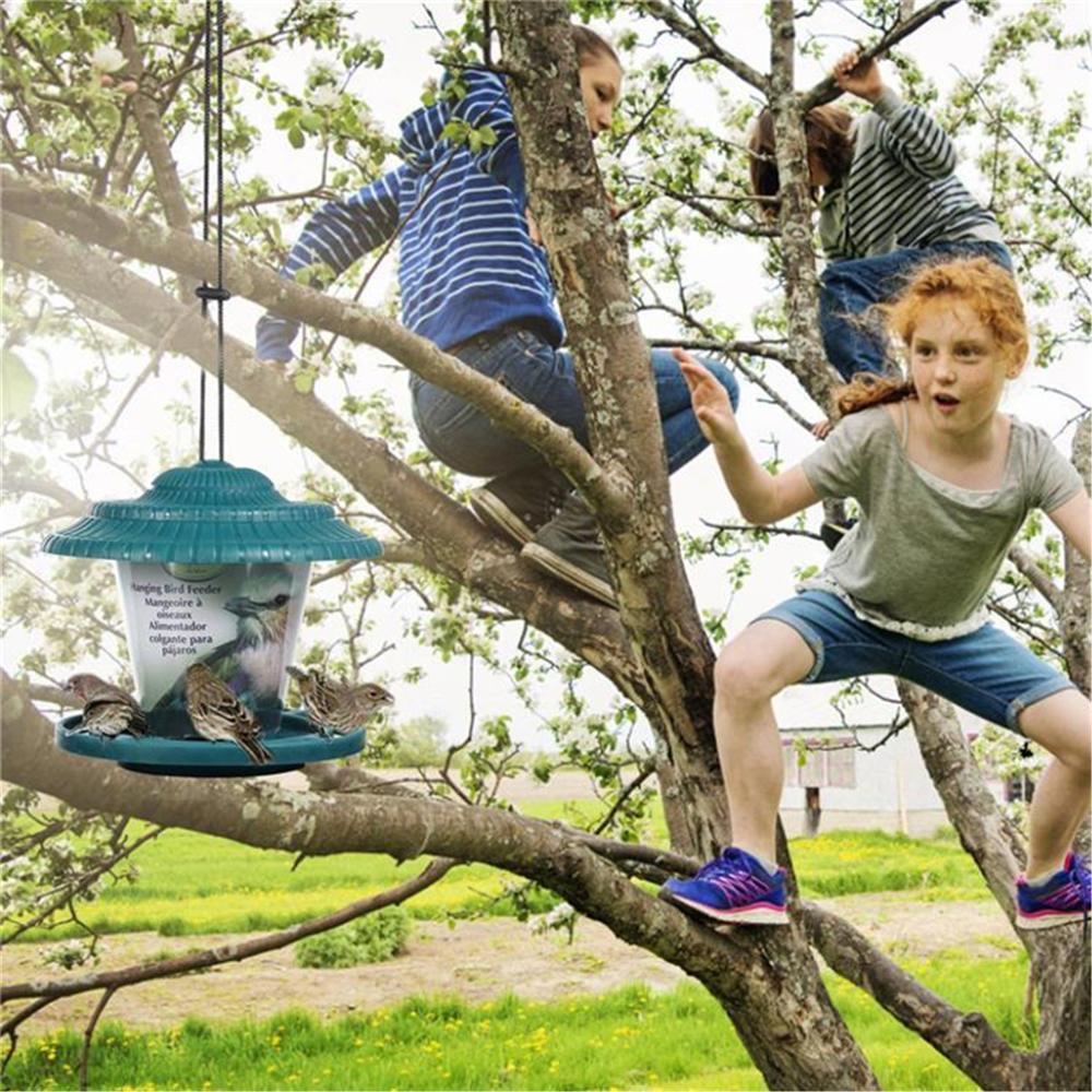 Sunbird Squirrel Hanging Wild Bird Feeder Outdoor for Feeding of Parrots Voliere Food Dispenser Container Bird Supplies