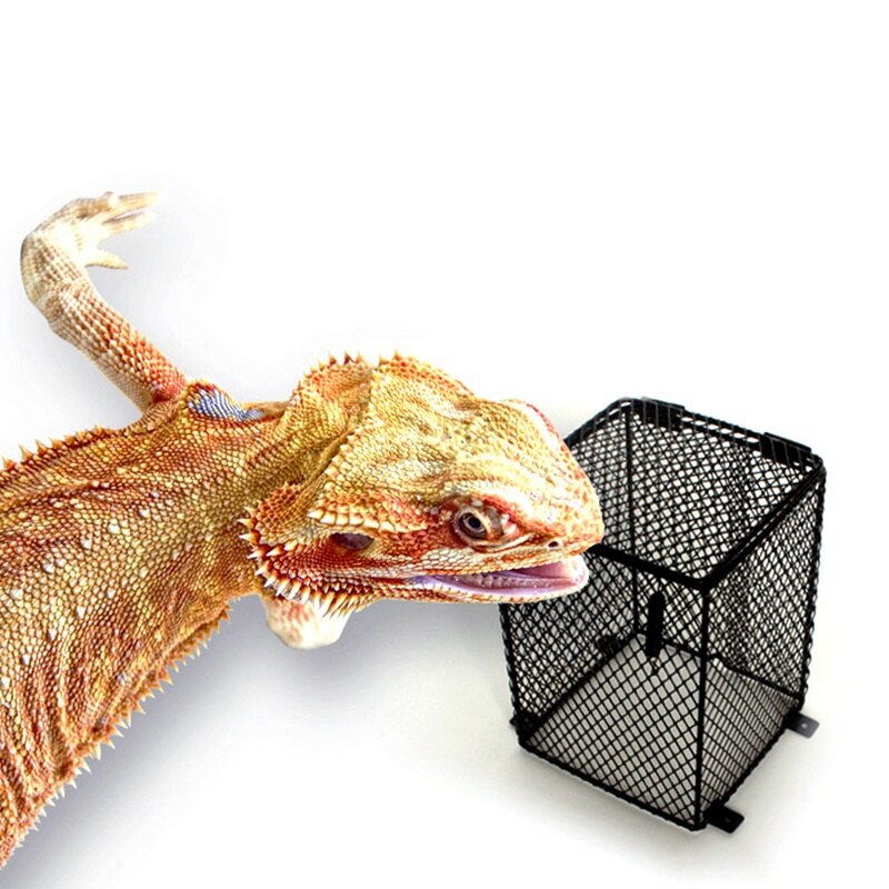 Krybdyr varmebeskyttelse anti-skold opvarmning lampe lampeskærm kabinet bur beskytter metal mesh lampe dæksel til slange firben skildpadde