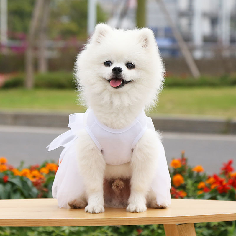 Sweet Pet Dress Cute Dog Wedding Dress Cat Princess Dress Sweet Bow Skirt Pet Supplies Bowknot Pet Dress Spring Summer Clothes