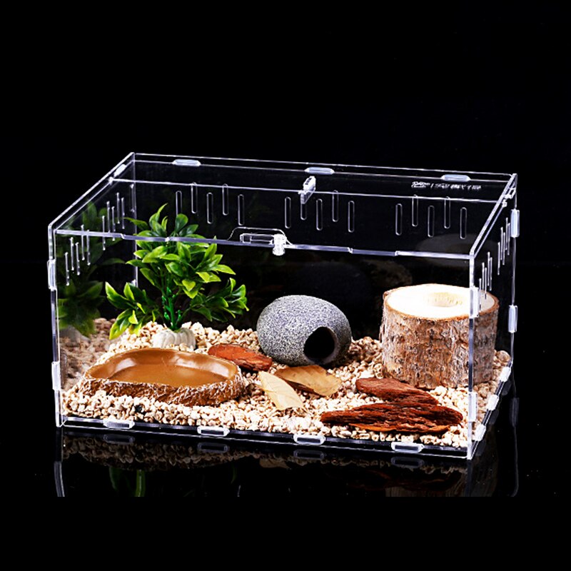 Zbiornik gadów owady pająki żółw jaszczurka akrylowy przezroczysty inkubator Spide rogaty żaba chrząszcz Vivarium pokrywa Terrarium