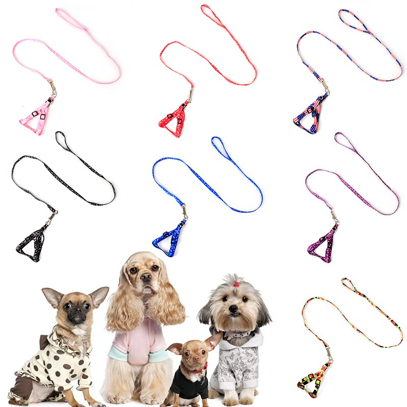 2.5m Automatic Retractable Dog Leash Flexible Leash Dogs Cat Traction Rope Leashes For Small Medium Dogs Pet Products