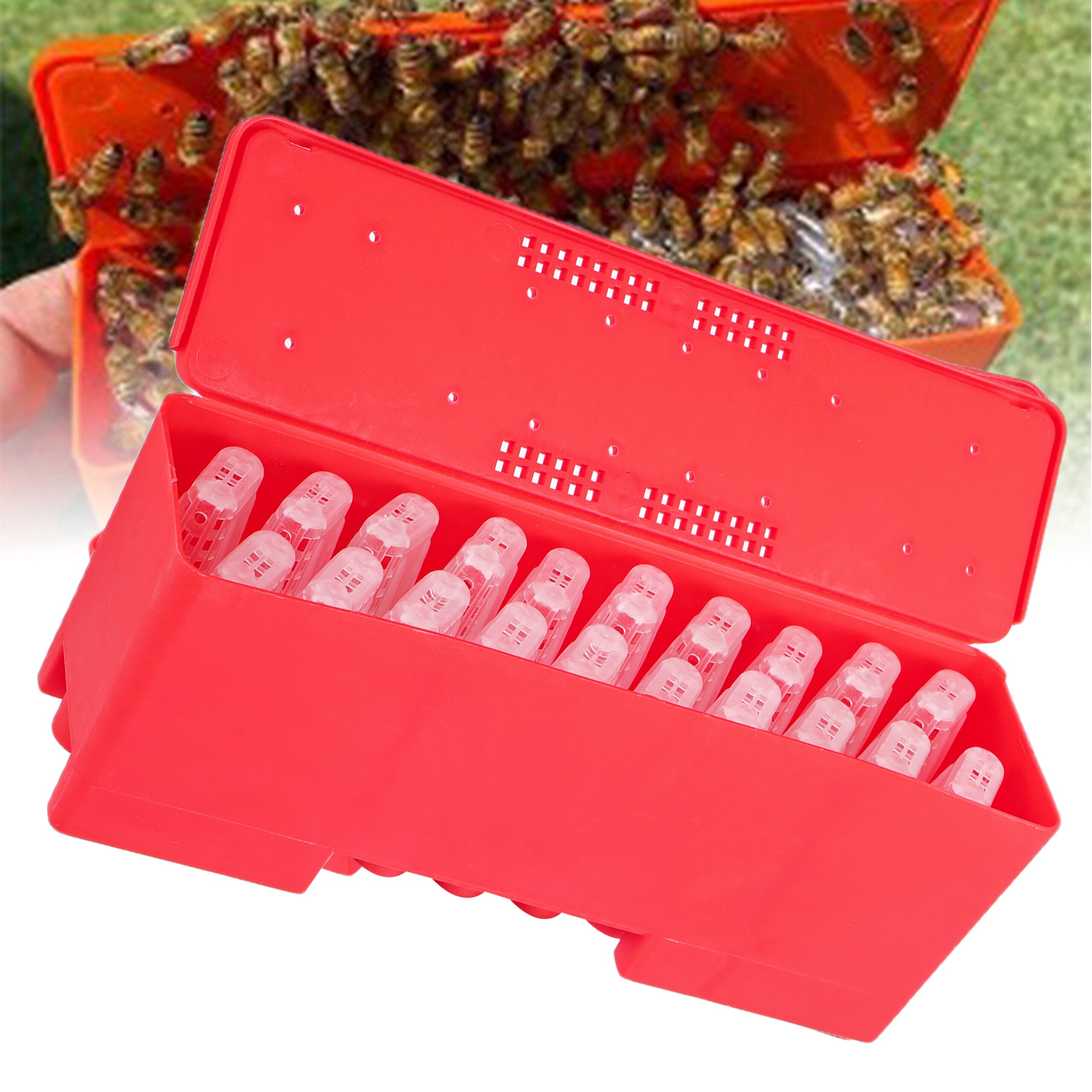 Beekeeping Supplies Queen Bees Transport Box with 20Pcs Bee Queen Cell Cage Bee Moving Isolator Tool Beekeeper Rearing Equipment