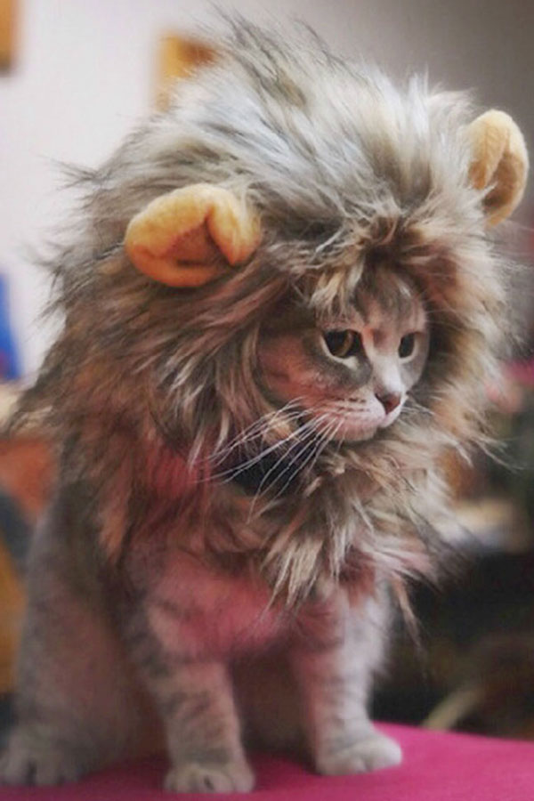 Furry Pet Hoed Kostuum Lion Mane Pruik Voor Kat Huisdieren Halloween Fancy Dress Up Met Oren Home