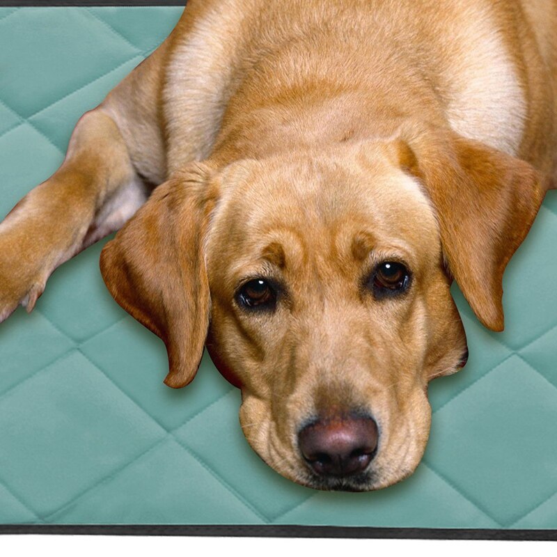 Matelas à langer lavable et réutilisable, lit pour chien, tapis de voiture pour chien, ensemble 2 pièces (1 grand et 1 petit)