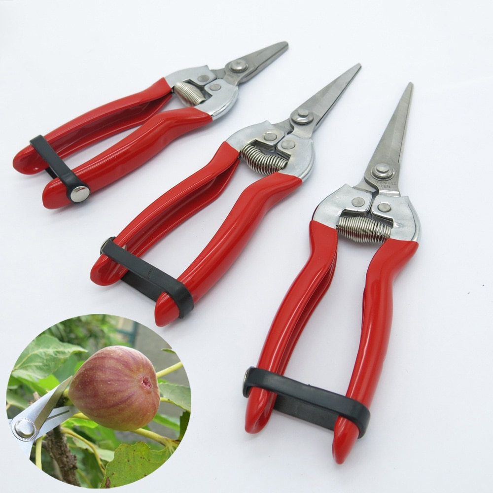 Gartenschere obst baum gartenbau begrünung beschneiden garten zange edelstahl schere Cutter blume zweig werkzeuge