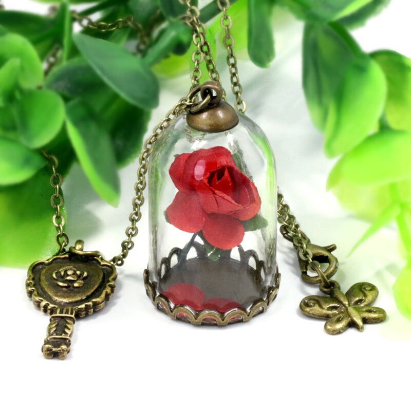 Schoonheid en Het Beest Retro Glazen Flacon Ketting Vlinder Wens Accessoires Ketting Rode Rose Gedroogde Bloem Sieraden voor Vrouwen Meisjes: 11