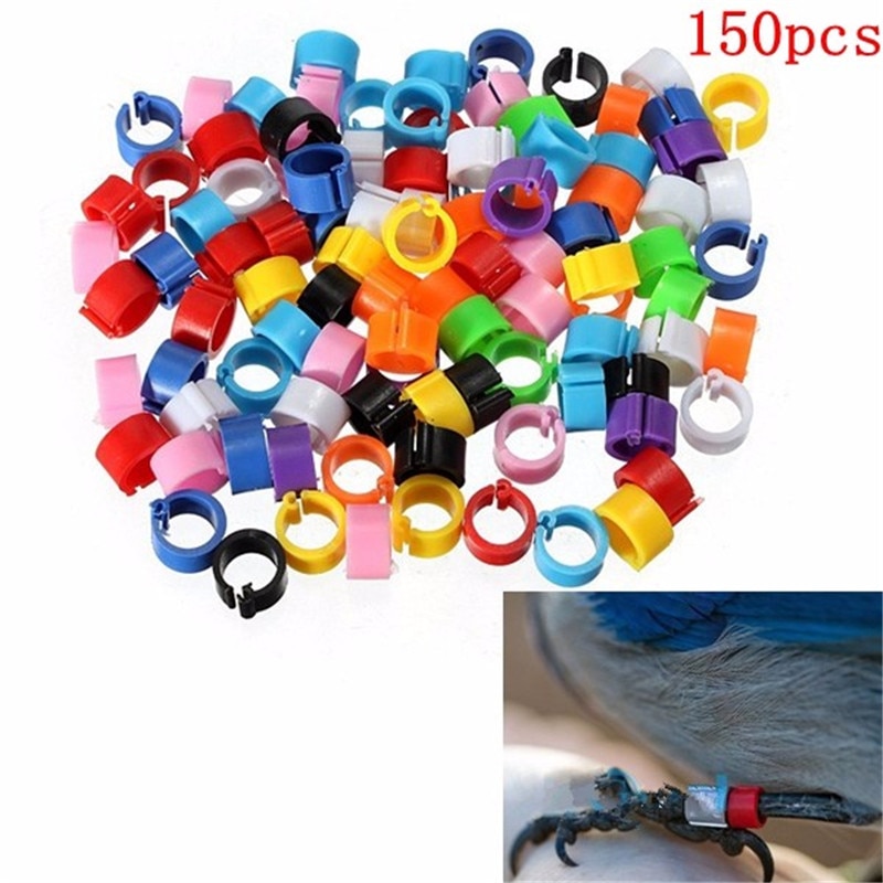 10mm Multicolor Chicken Leg Bands Plastic Chicken Poultry Leg Rings PigeonGeese Quail Bird Ring Carry Tool Feeding Logo 150Pcs