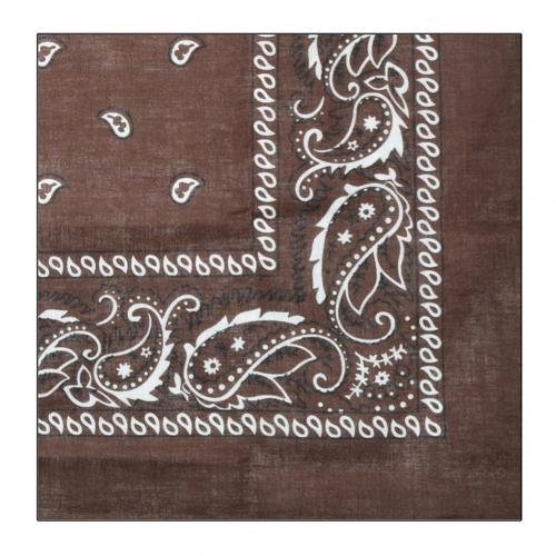 Hip hop bandana mand kvinder udendørs pandebånd hårbånd håndled wraps hår tørklæder paisley tørklæde hår tilbehør: Brun