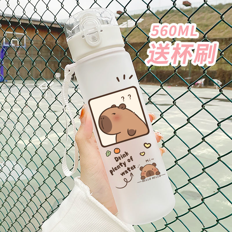 Botellas de bebida de rebote Capybara de 560ml, botella de agua de plástico barata Popular de dibujos animados, promocionales reutilizables, taza de agua de Capybara: Rosa