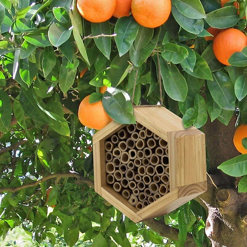Handmade Natural Bamboo Bee Hive Mason Bee House Attracts Peaceful Bee Pollinators for the Garden