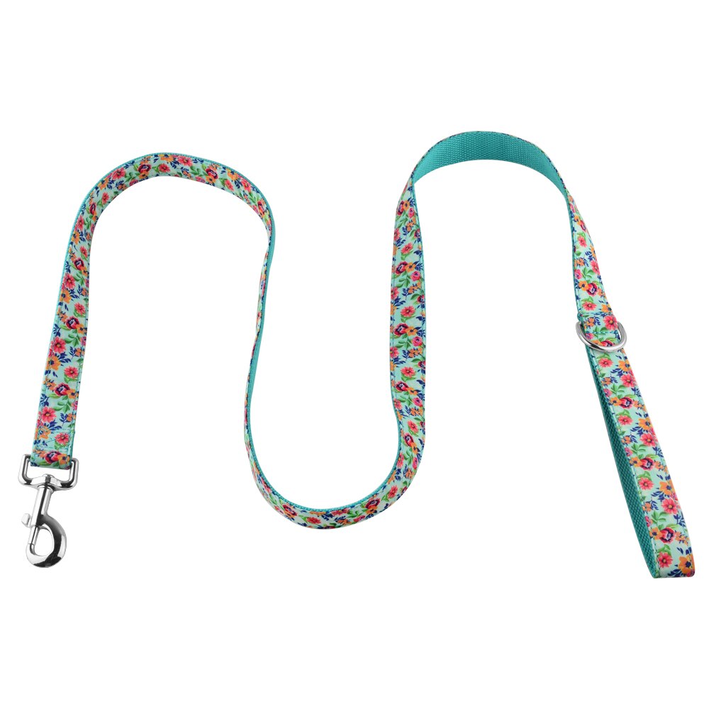 1.5m lange hondenriemen, coole halsband, hondenriem van duurzaam nylon, xs sm ,  l 4 kleuren: Watergroen / 2cm breedte